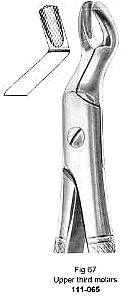 Extracting Forcep